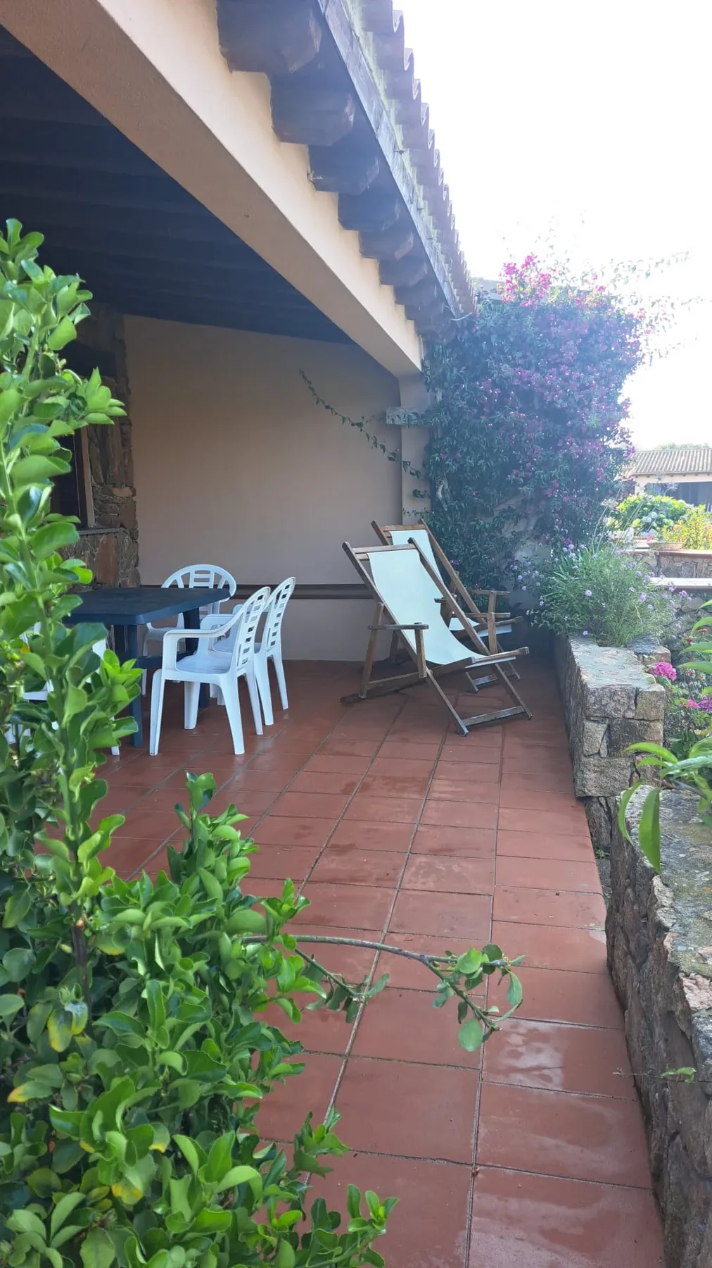 Shaded patio with table, chairs and deckchairs beside the bougainvillea